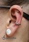 9714 vertical helix piercing_inner conch piercing_piercing ucha