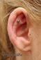 9816 outer conch piercing_piercing ucha