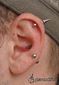 9900 helix piercing_inner conch piercing_upper lobe piercing