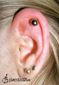 9960 outer conch piercing_piercing ucha