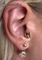 9962 tragus piercing_piercing ucha