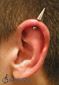 9976 vertical helix piercing_piercing ucha