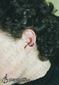 9998 snug piercing_piercing ucha