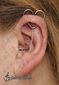 9692 double vertical helix piercing(orbital helix piercing)_daith piercing_ piercing ucha