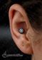 9698 inner conch piercing_piercing ucha