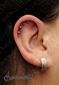 9772 quadruple helix piercing_piercing ucha 