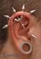 9794 ear project (industrial piercing_triple vertical helix piercing_tragus piercing_stretch lobe piercing) piercing ucha