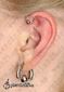 9817 forward helix piercing_stretch lobe piercing_piercing ucha