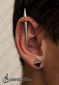 9856 vertical helix piercing_inner conch piercing_lobe piercing_piercing ucha