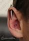 9866 vertical helix piercing_inner conch piercing_piercing ucha