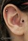 9892 helix piercing_tragus piercing_piercing ucha