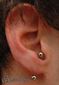 9924 vertical lobe piercing_piercing ucha