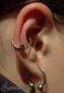 9958 inner conch piercing_piercing ucha