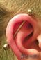 9984industrial piercing_piercing ucha