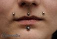 9912 angel bites piercing_cyber bites piercing(medusa piercing_labret piercing_double madonna piercing) piercing rtu