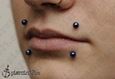 9914 canine bites piercing_piercing rtu