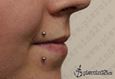 9924 madonna piercing _side lip piercing_piercing rtu
