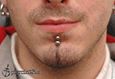 9962 labret piercing_lowbret piercing_piercing rtu
