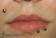 9970 madonna piercing_spider bites piercing_piercing rtu