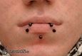 9974_labret piercing_snake bites piercing_piercing rtu