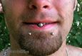 9976 tongue piercing_snake bites piercing_piercing jazyka_piercing rtu