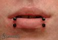 9980 snake bites piercing_piercing rtu