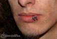 9992 spider bites piercing_piercing rtu