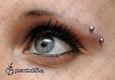9956 horizontal eyebrow piercing_piercing obočí