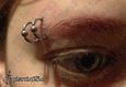 9970 double eyebrow piercing_piercing obočí