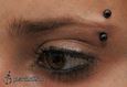9972 eyebrow piercing_piercing obočí