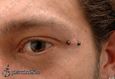 9979 anti eyebrow piercing_piercing obočí