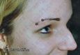 9988 horizontal eyebrow piercing_piercing obočí