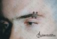 9990 double eyebrow piercing_piercing obočí