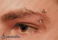 9996 eyebrow piercing_piercing obočí