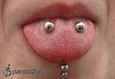 9988 venom piercing_piercing jazyka