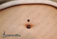 9972 belly button(navel) piercing_piercing pupíku