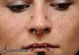 9948 nasallang piercing_septum piercing_horizontal lip piercing_piercing nosu_piercing rtu