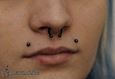 9970 septum piercing_angel bites piercing_piercing nosu_piercing rtu