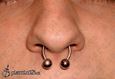 9974 septum piercing_piercing nosu