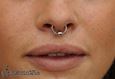 9976 septum piercing_piercing nosu