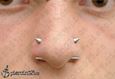 9986 double nostril piercing_septum piercing_piercing nosu