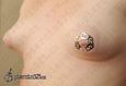 9800 nipple piercing_piercing bradavky
