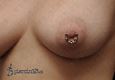 9868 nipple piercing_piercing bradavky
