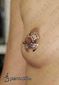 9886 nipple piercing_piercing bradavky