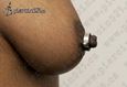 9942 nipple piercing_piercing bradavky