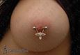 9948 nipple piercing_piercing bradavky
