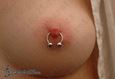 9952 nipple piercing_piercing bradavky