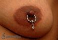 9954 nipple piercing_piercing bradavky