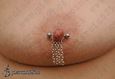 9958 nipple piercing_piercing bradavky