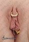 9764 horizontal hood piercing_inner labia piercing_intim piercing